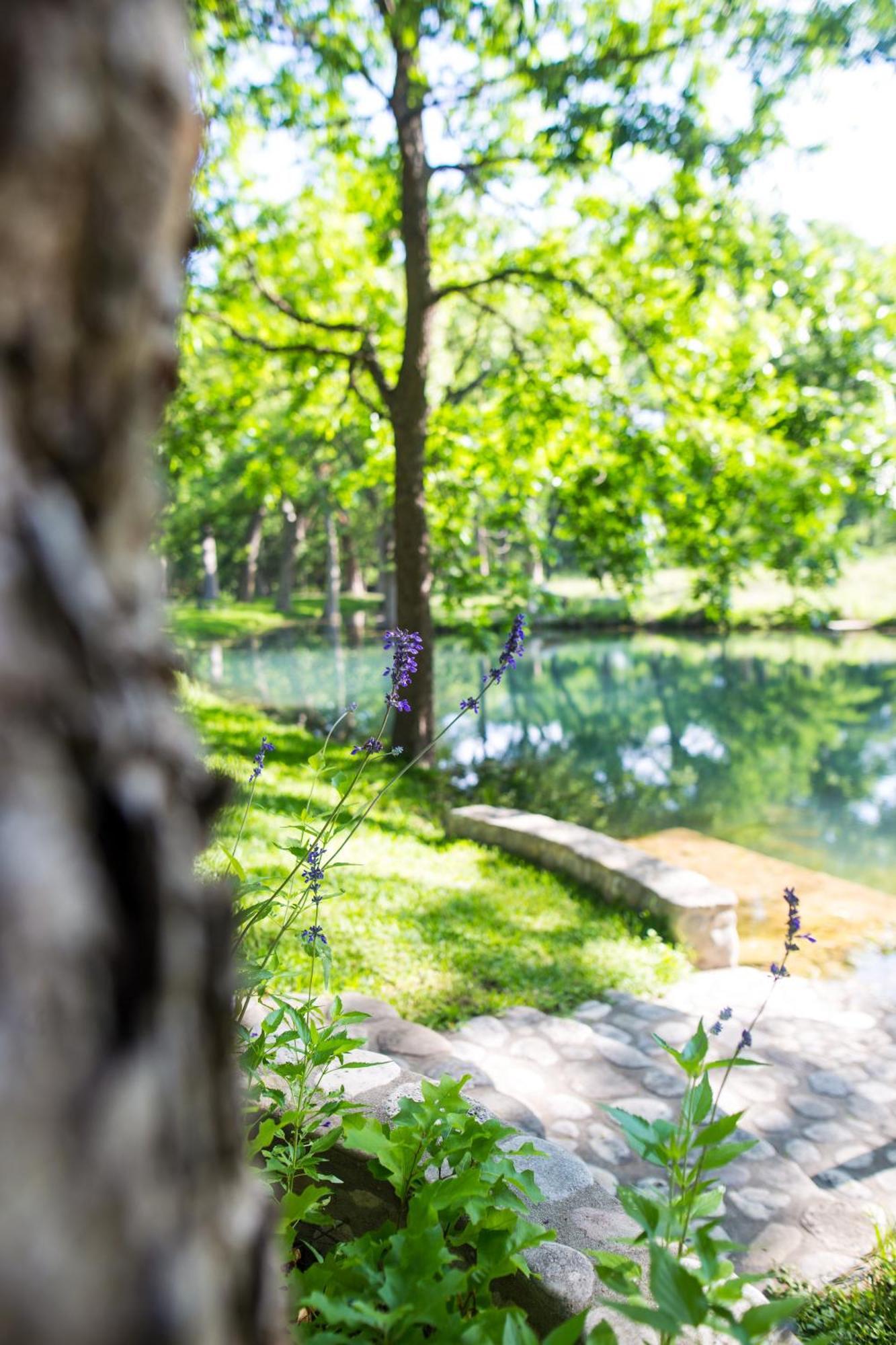 The Springs Retreat Hotel Leakey Bagian luar foto